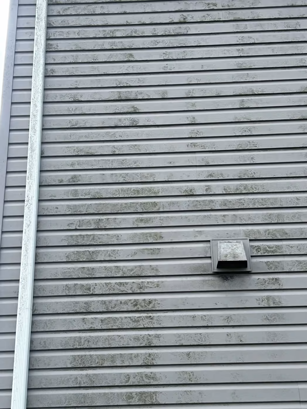 Algae-stained vinyl siding on a Crossville-area home before soft washing.