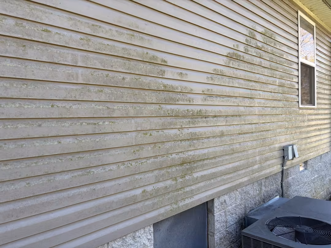 Algae-stained siding before soft wash in Baxter, TN
